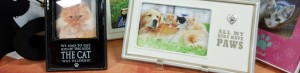 Pet Lover Frames cat frames dog frames