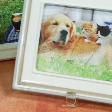 Pet Lover Frames cat frames dog frames